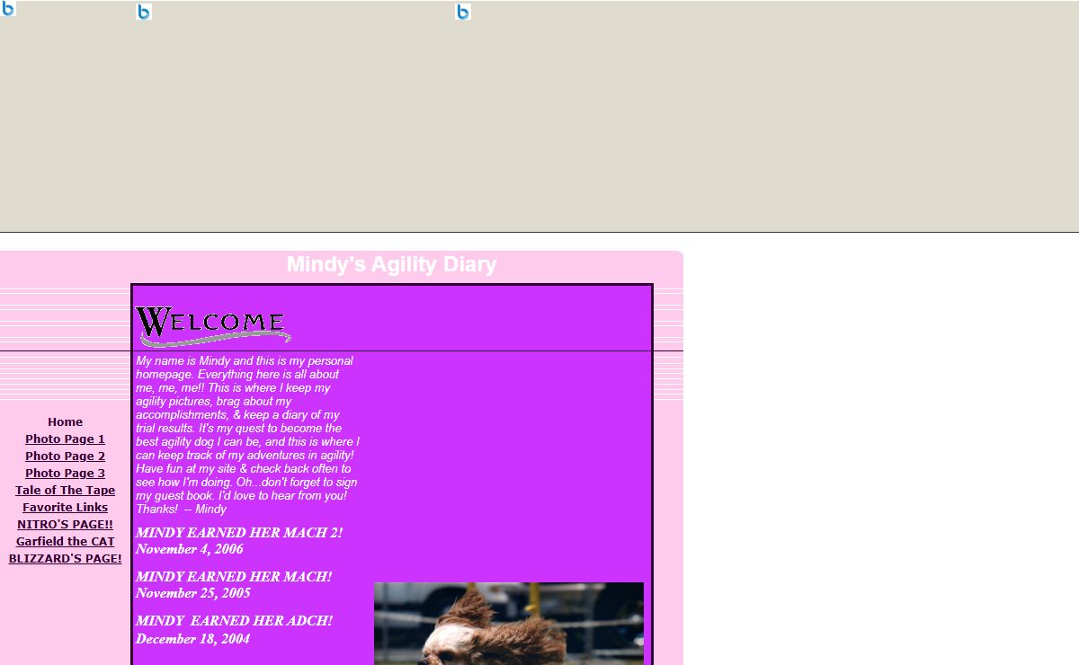 Mindy's Agility Diary