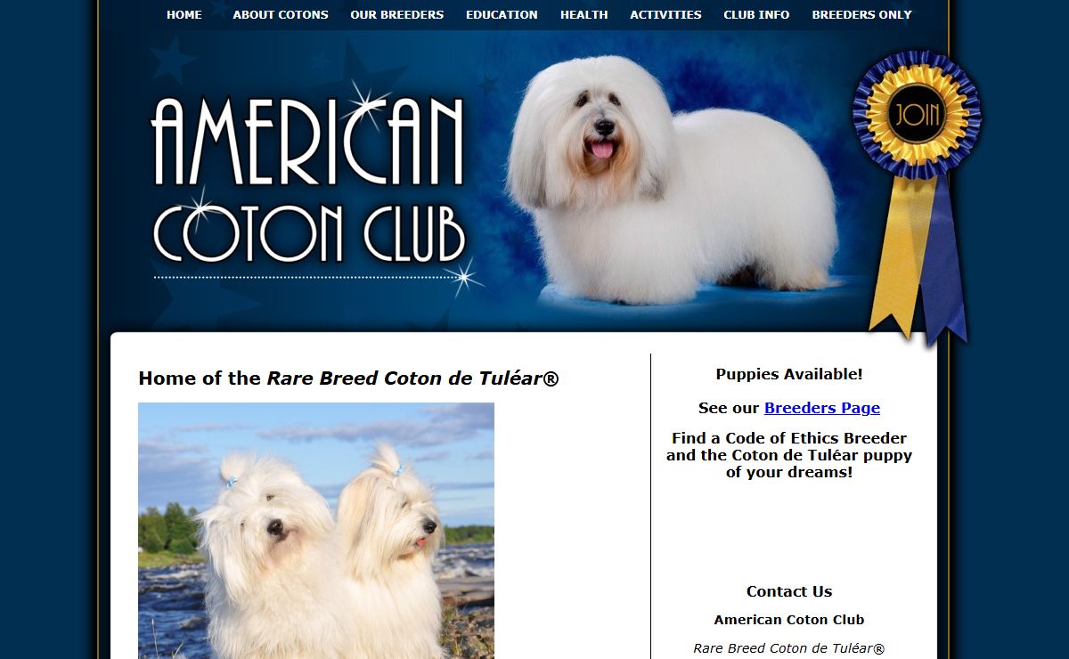 Coton de Tuléar - American Coton Club