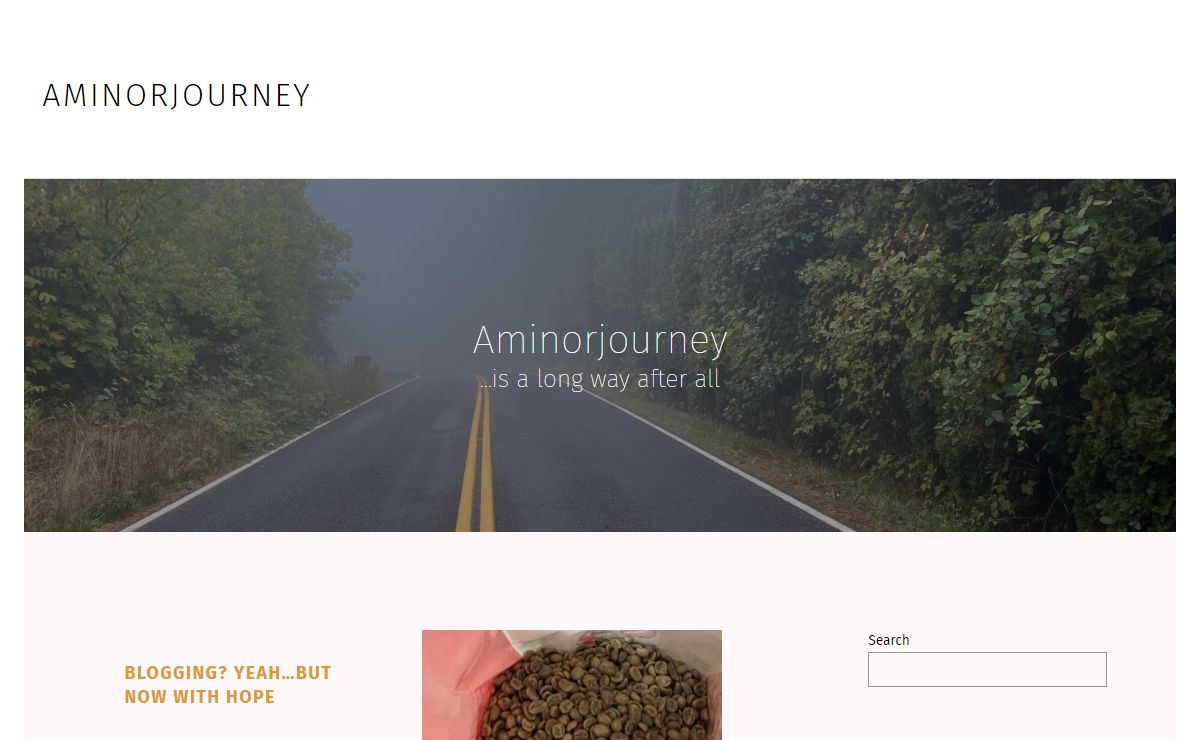 Aminorjourney – …is a long way after all