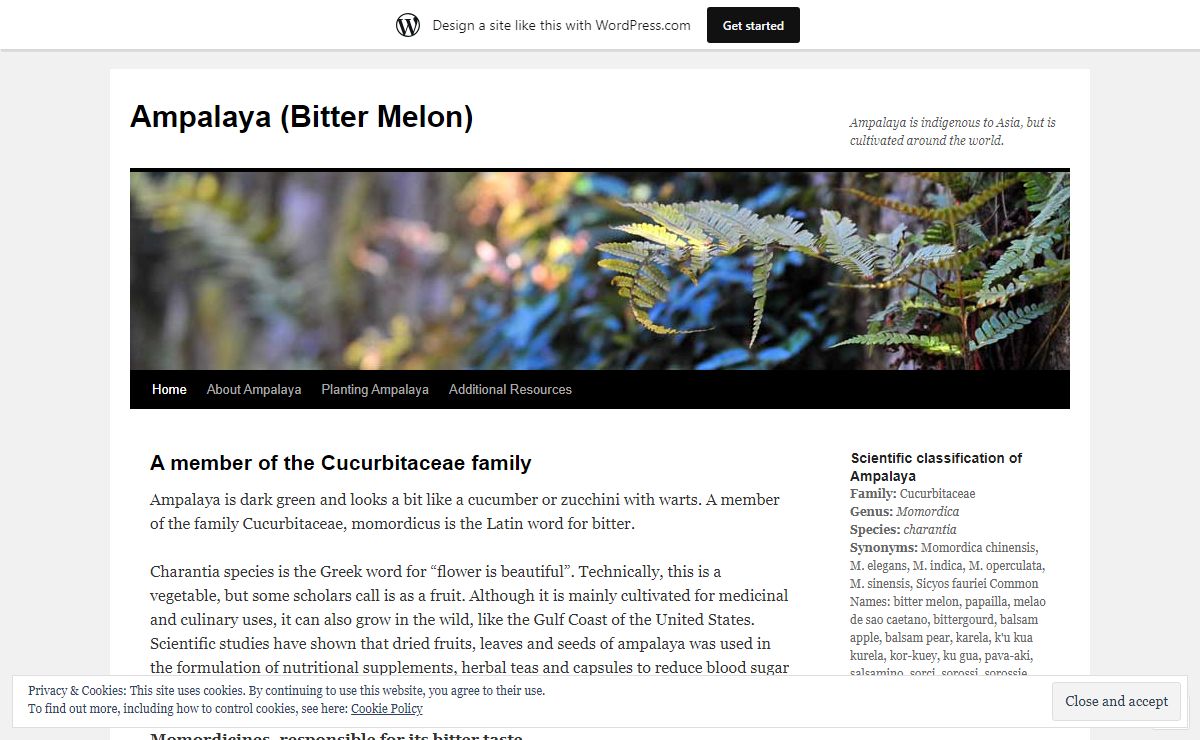 Ampalaya (Bitter Melon) | Ampalaya is indigenous to Asia, but is cultivated around the world.