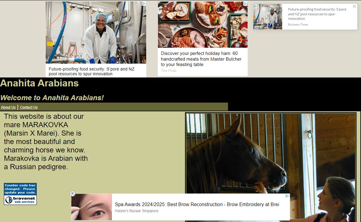 Anahita Arabians