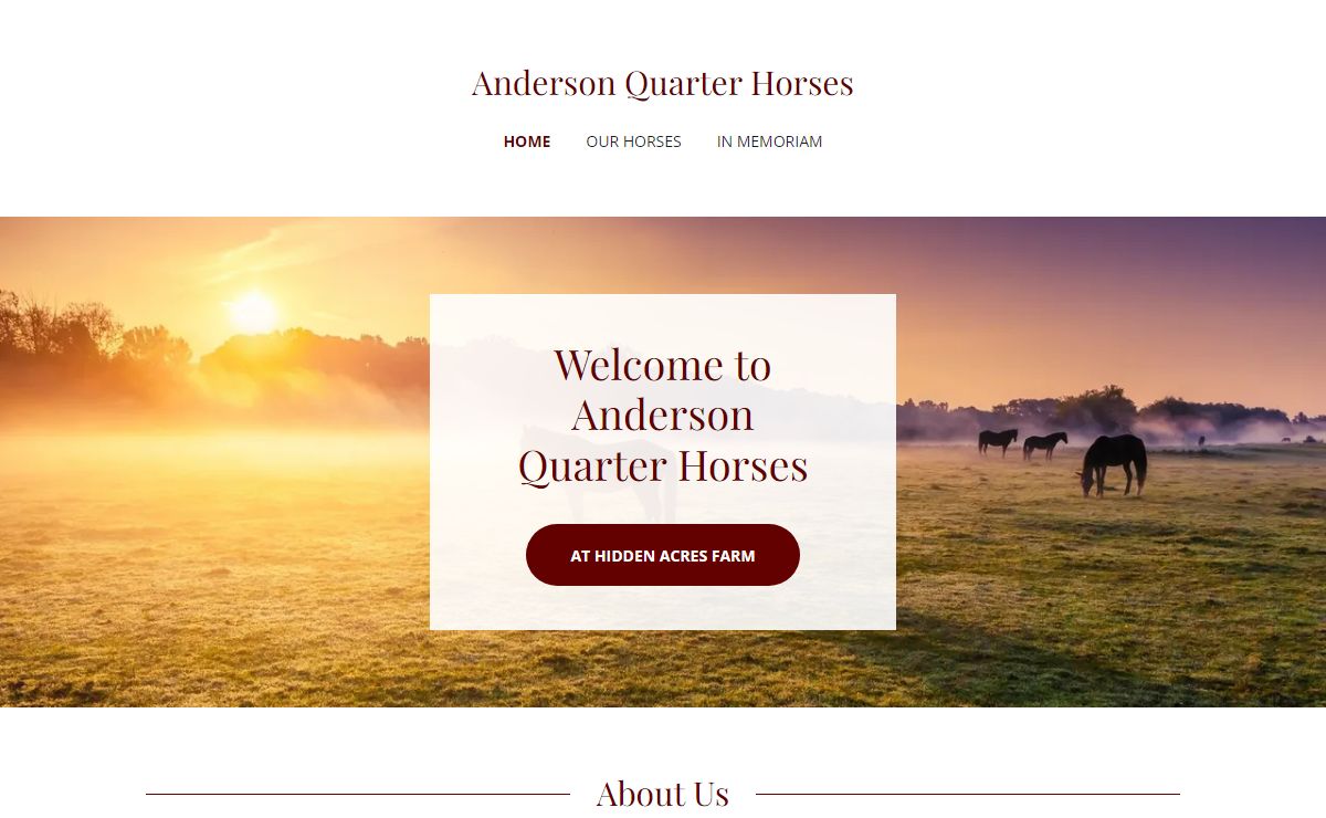 Anderson Quarter Horses