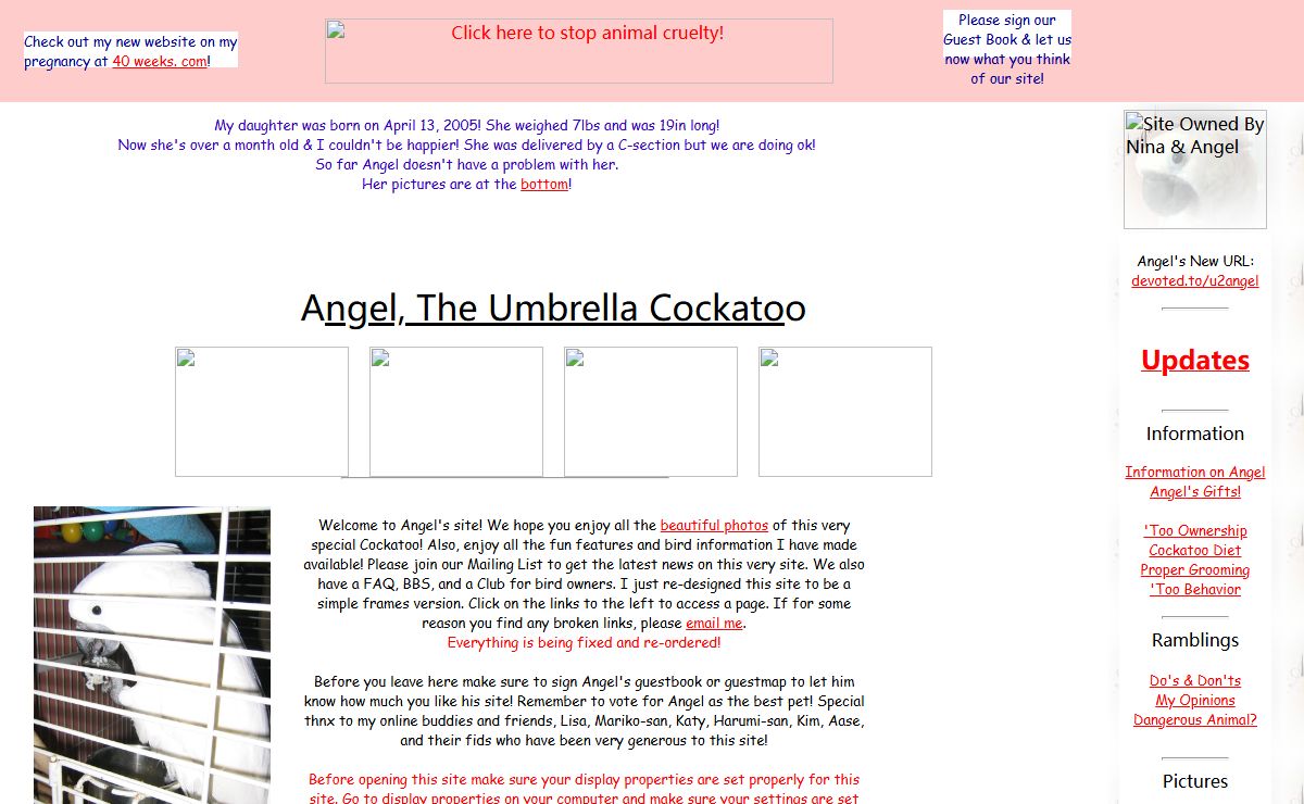 SITE UNDER CONSTRUCTION! - Check the updates section!
