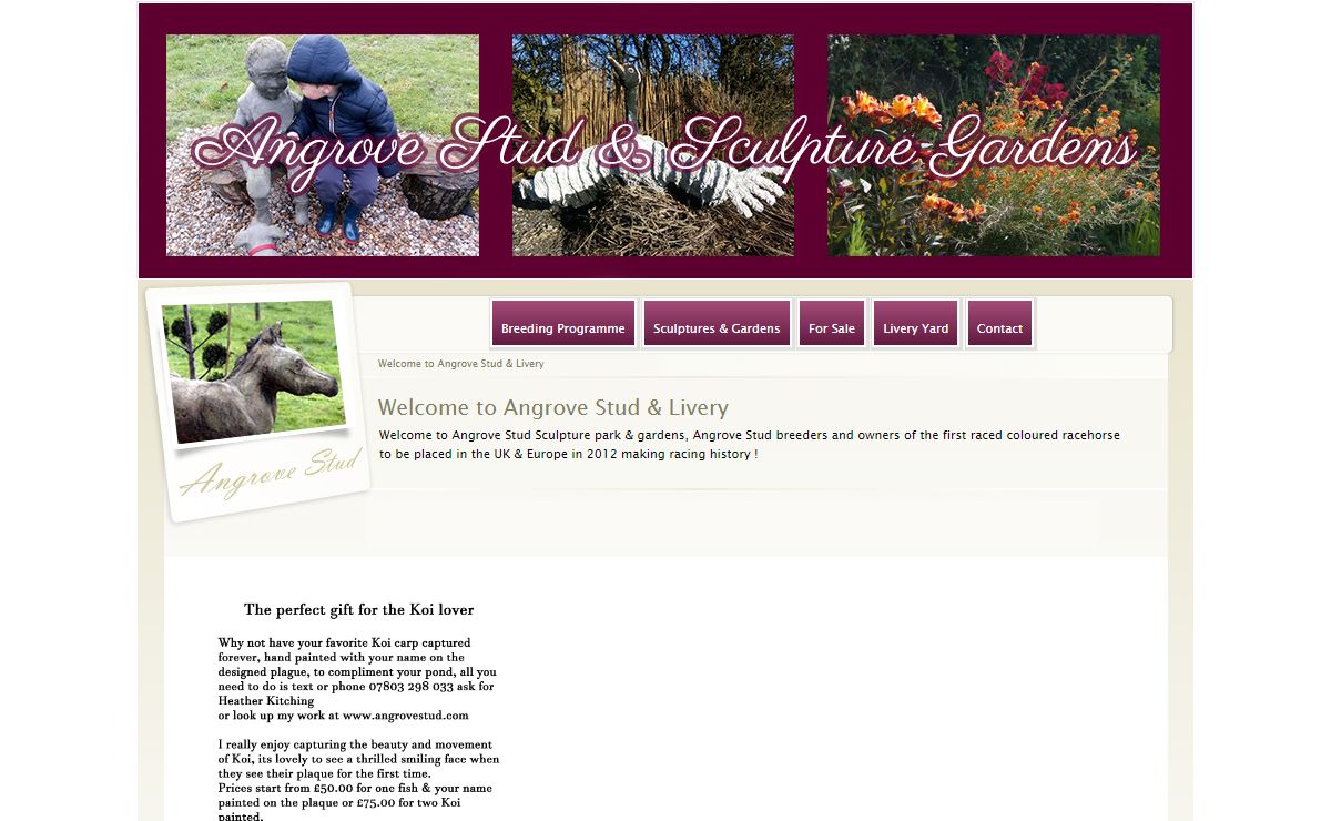 Angrove Stud & Livery - Coloured Thoroughbred Stud North Yorkshire