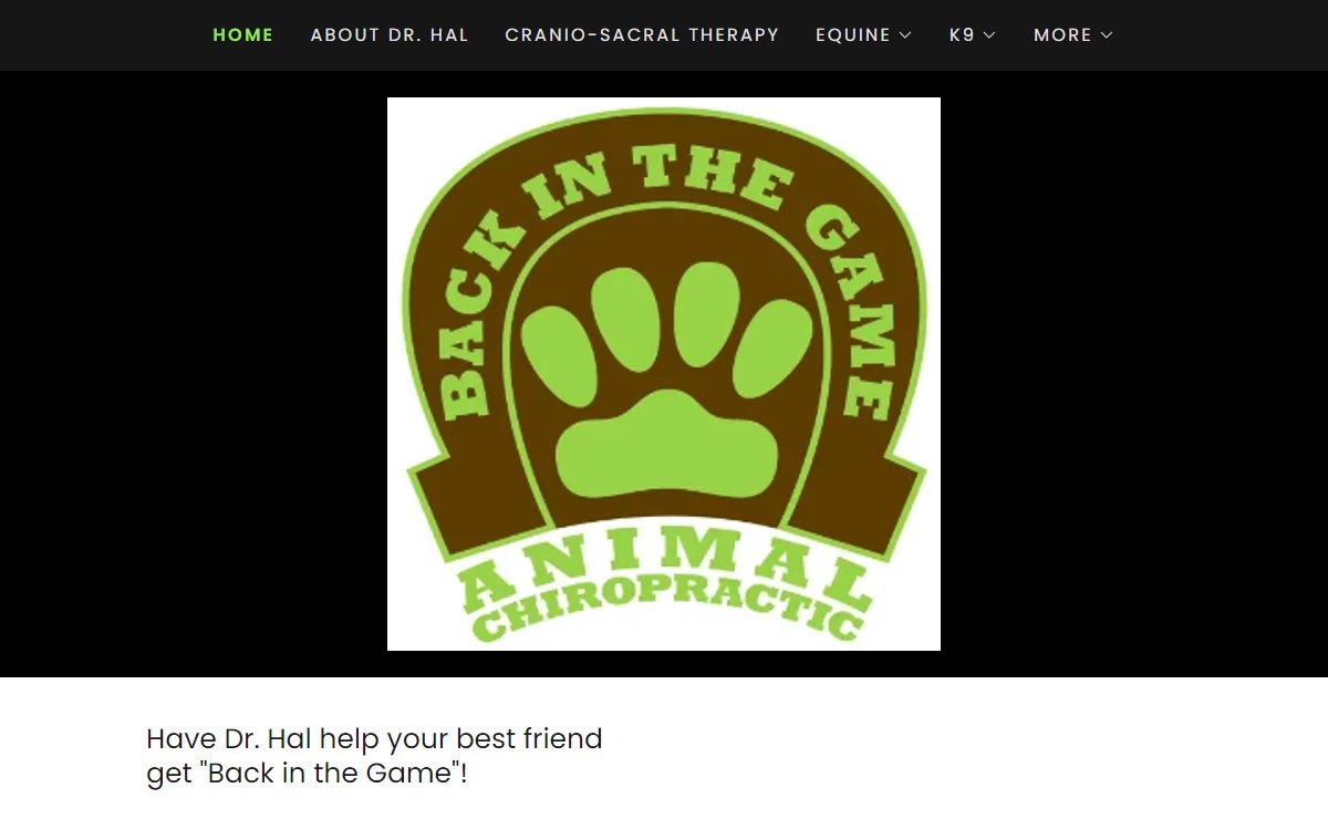 Back in the Game Animal Chiropractic