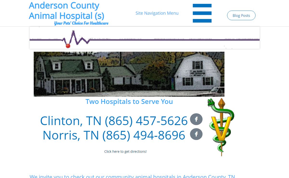 Anderson County Animal Hospital: veterinary medicine, surgery