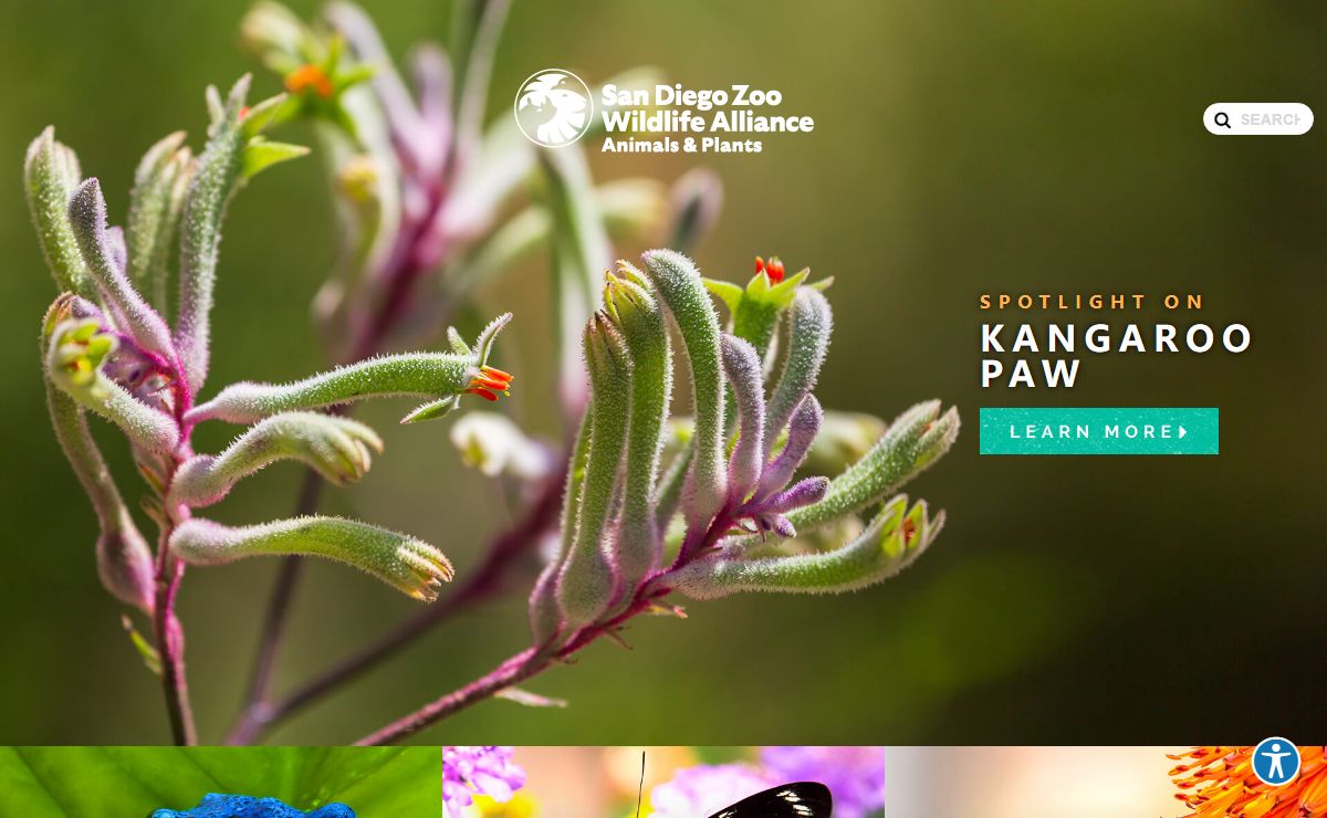 Home | San Diego Zoo Animals & Plants
