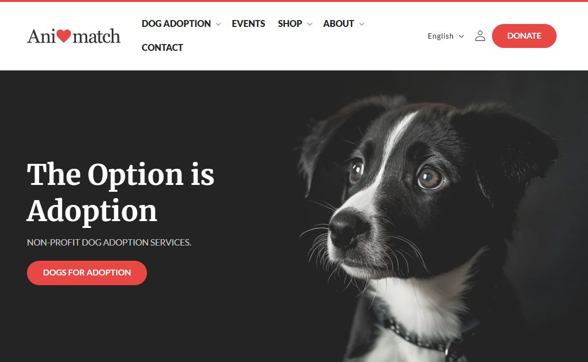 Adopt a Dog | Animatch - Trusted Dog Adoption Service – Animatch.ca Dog Adoption