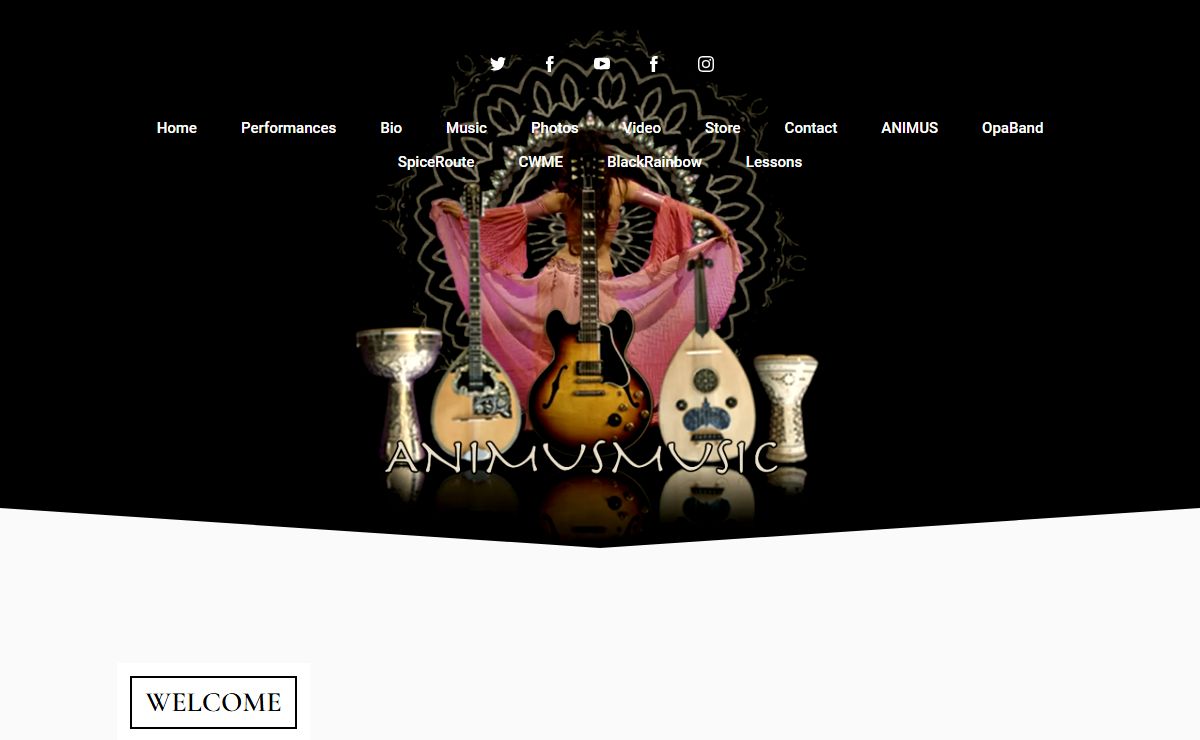 animusmusic.com