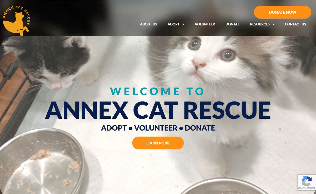 Home - Annex Cat Rescue