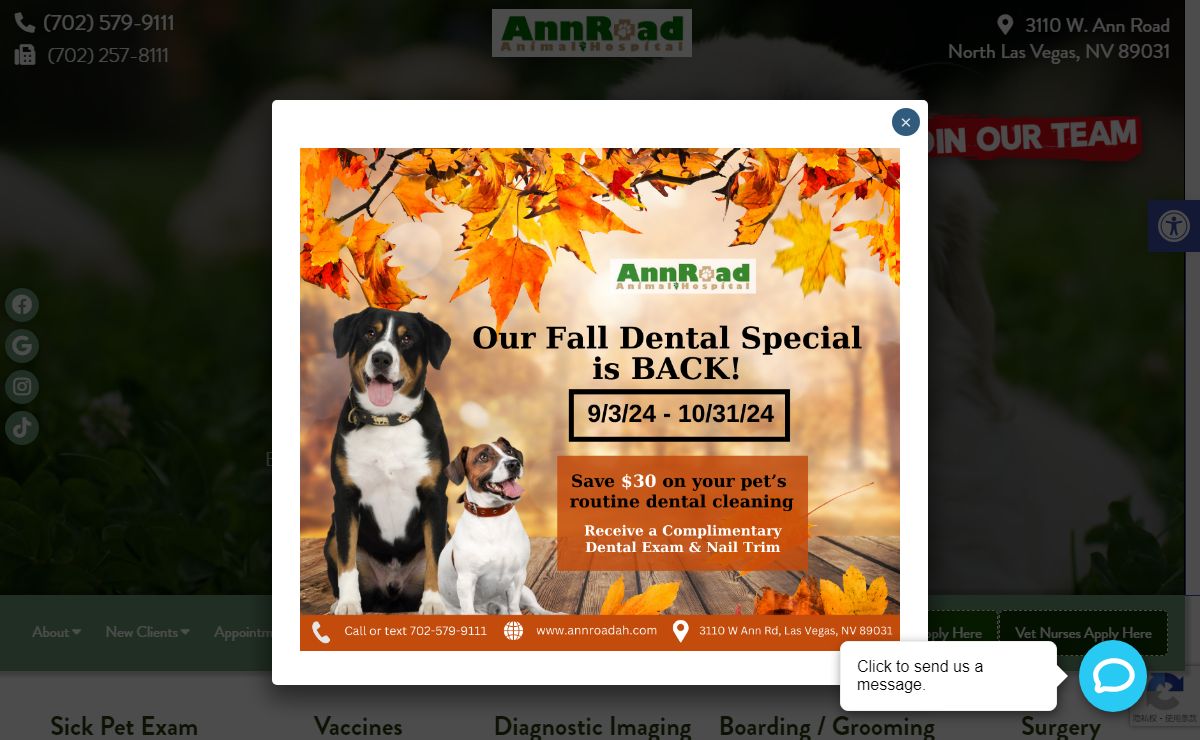 Veterinarian in North Las Vegas, NV | Ann Road Animal Hospital