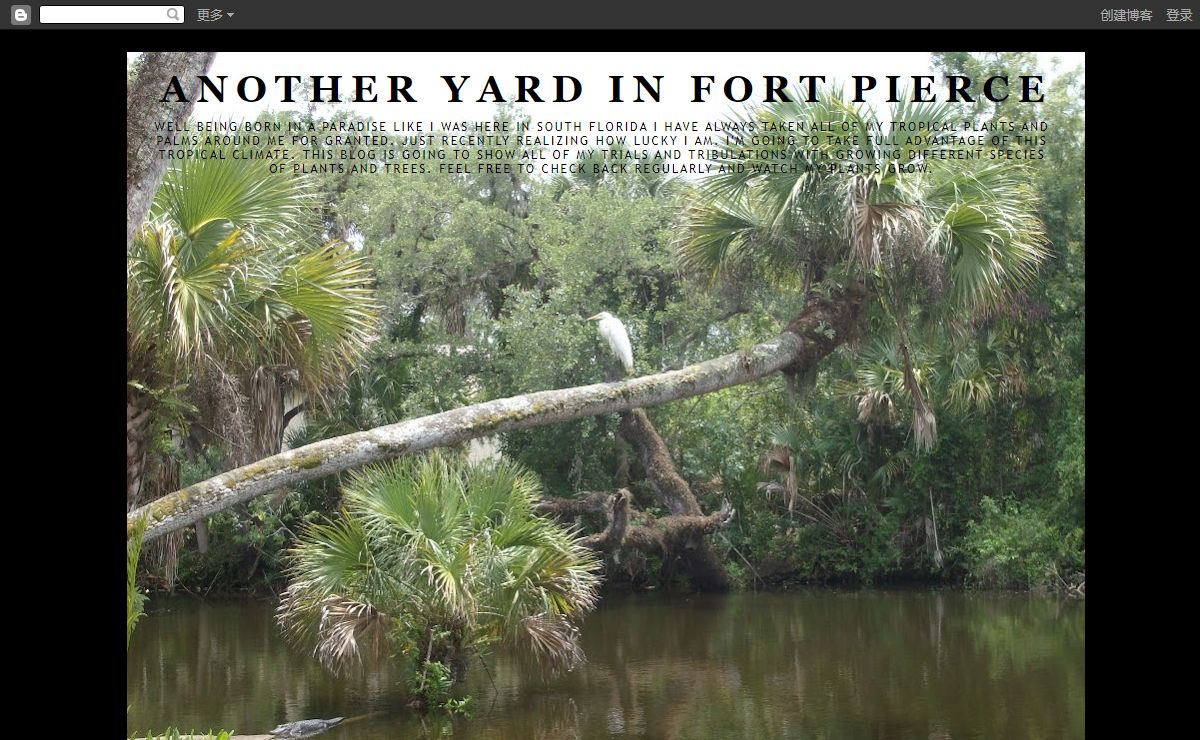 Another Yard in Fort Pierce