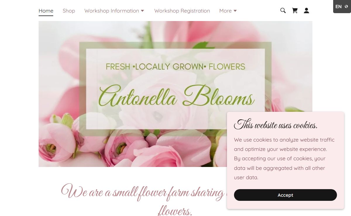 Antonella Blooms