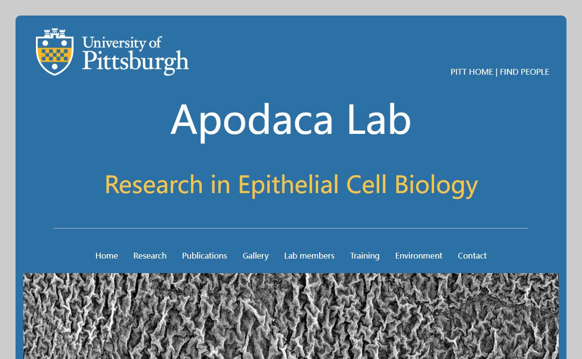 Welcome to the Apodaca lab!