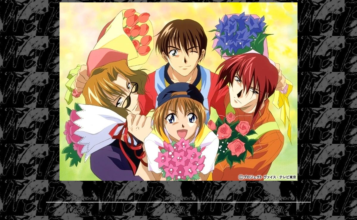 The Flowershop