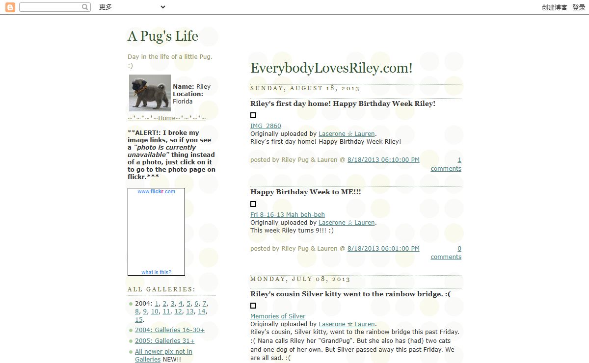 A Pug's Life
