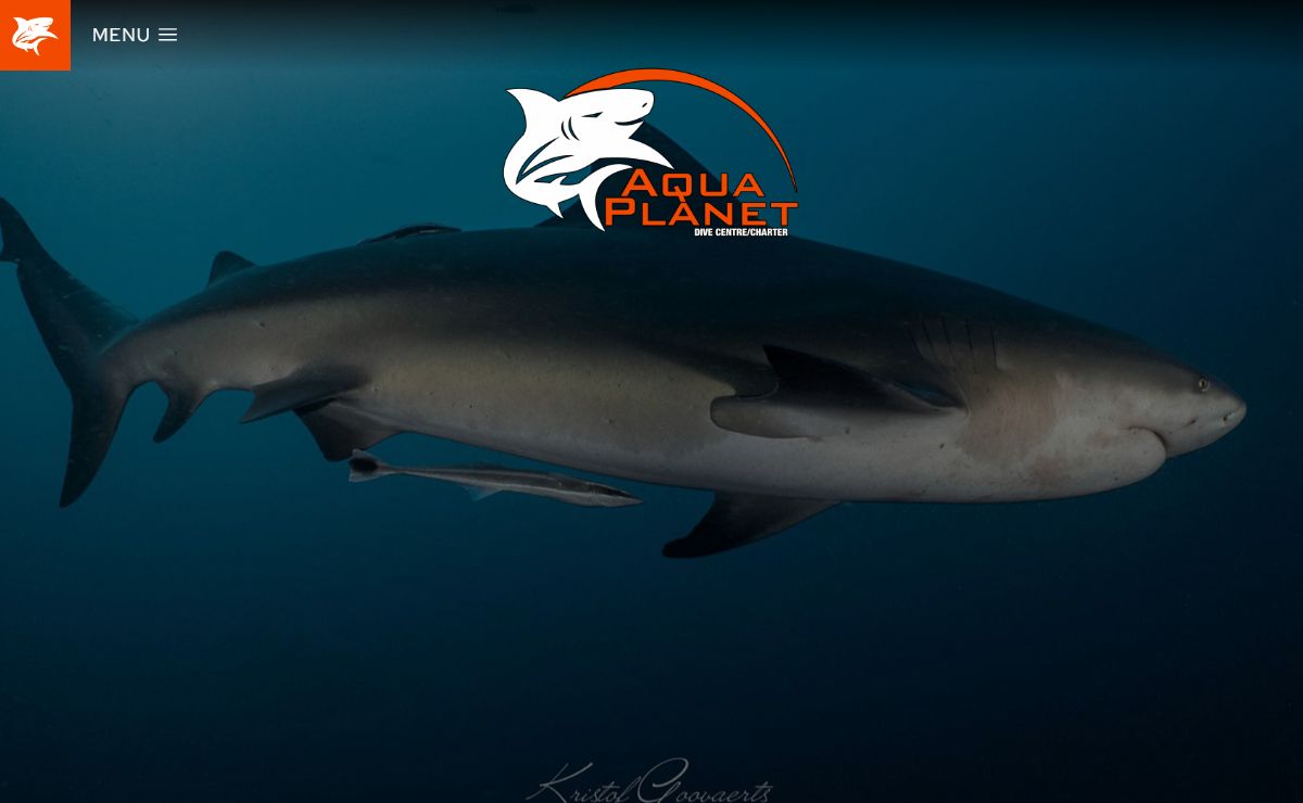 Aqua Planet Dive Centre & Charter – Protea Banks, Shelly Beach, KZN, South Africa – The best shark diving in Kwazulu-Natal, South Africa