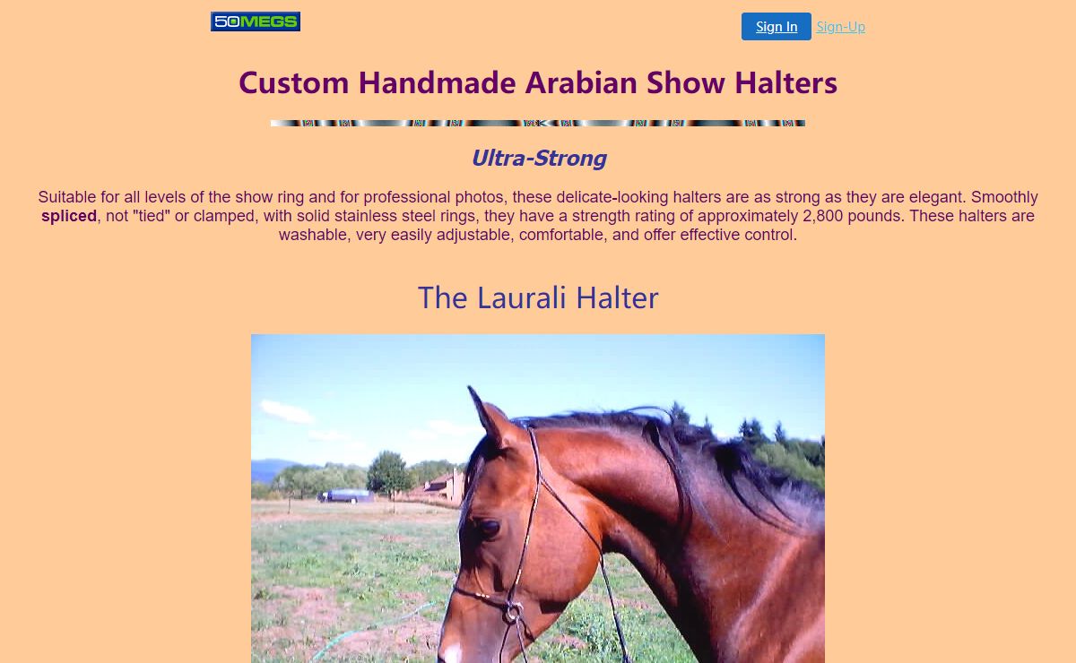 Arabian Horse Show Halters