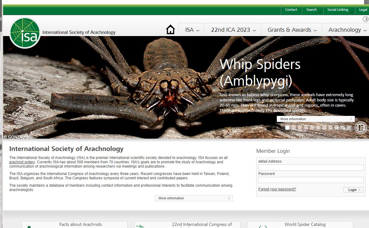 International Society of Arachnology