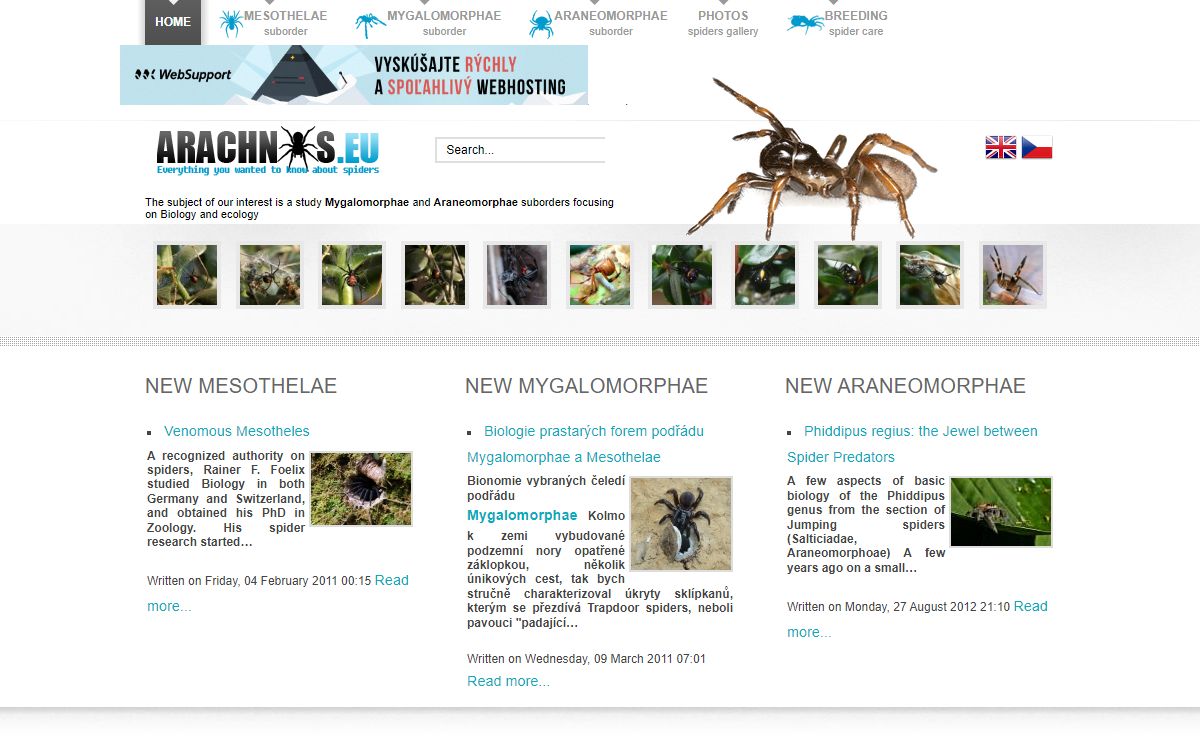 Arachnos.eu | Mesothelae, Mygalomorphae, Araneomorphae