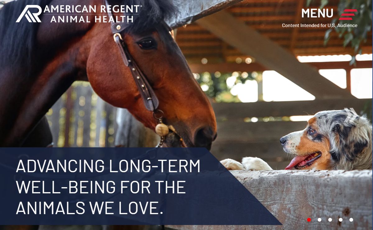 Exceptional products that improve the lives of horses and dogs | American Regent® Animal Health