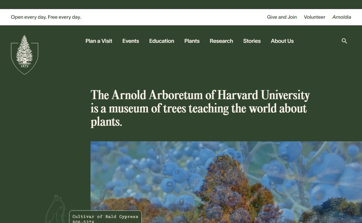 The Arnold Arboretum of Harvard University | Arnold Arboretum