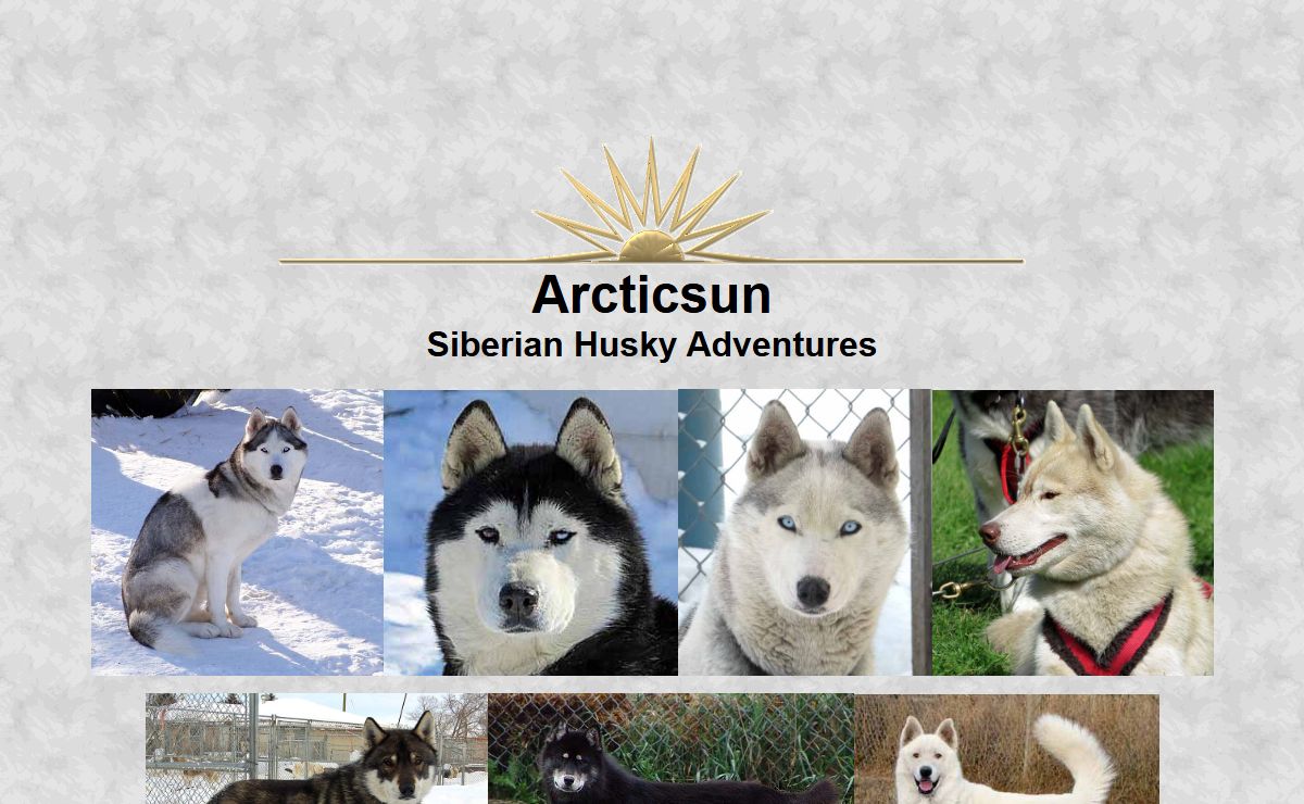Siberian Husky Breeders Alberta Canada For Sale Dog Puppies Sledding Snowdogs Eight Below Animal Actors Mushing>