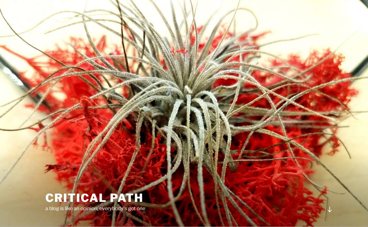 Critical Path – a blog is like an opinion, everybody's got one