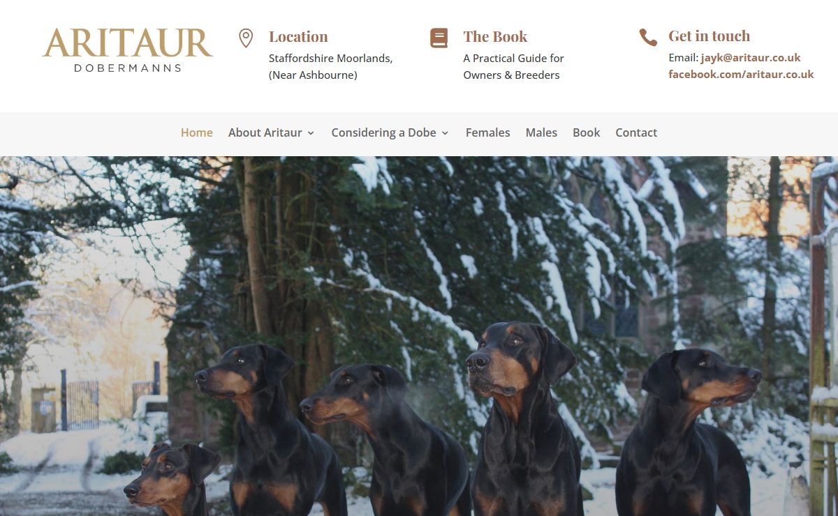 Aritaur Dobermanns - Breeders of Dobermanns for Work | Aritaur Dobermanns - Breeders of Dobermanns for Work