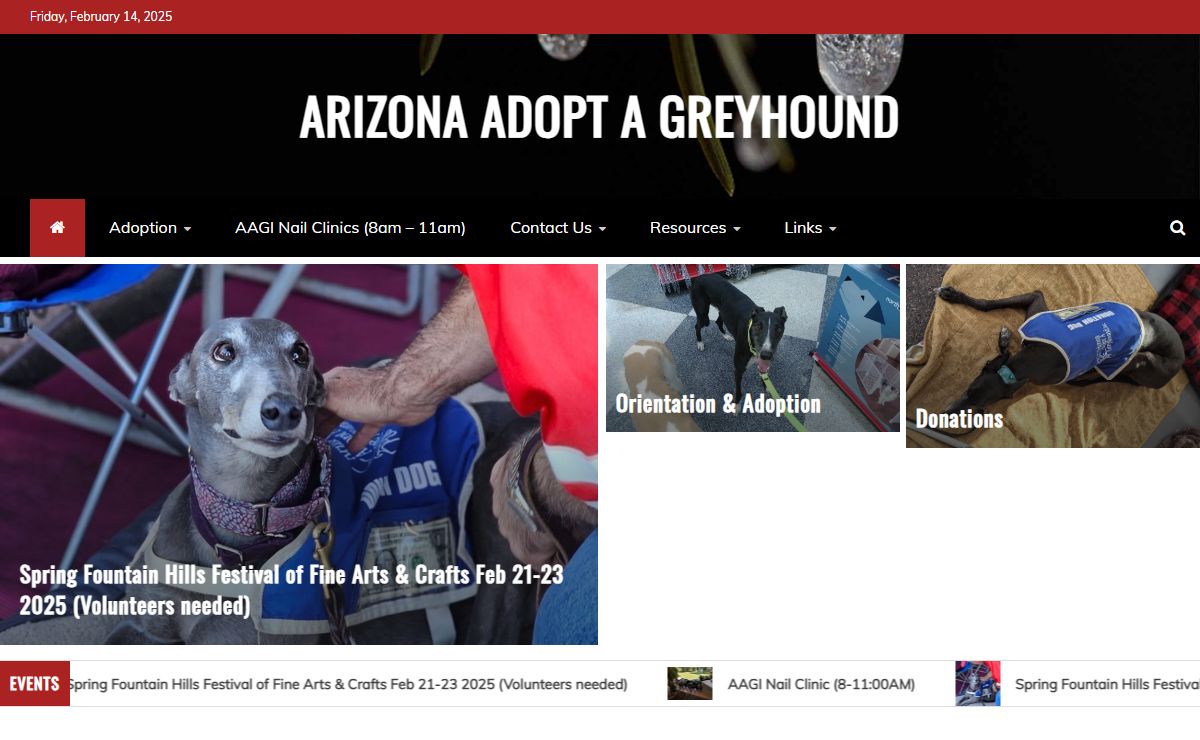 Arizona Adopt a Greyhound