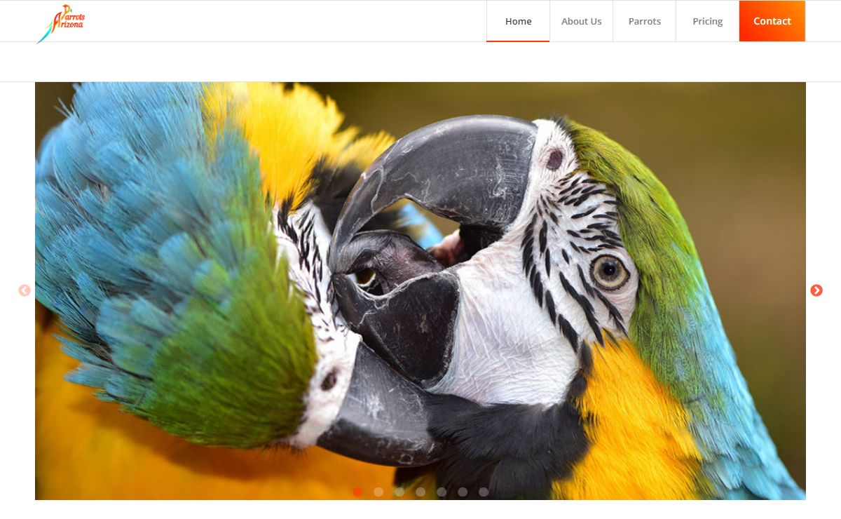 arizonaparrots.com – Parrot rehoming. Bird Rescue, Bird retirement home.