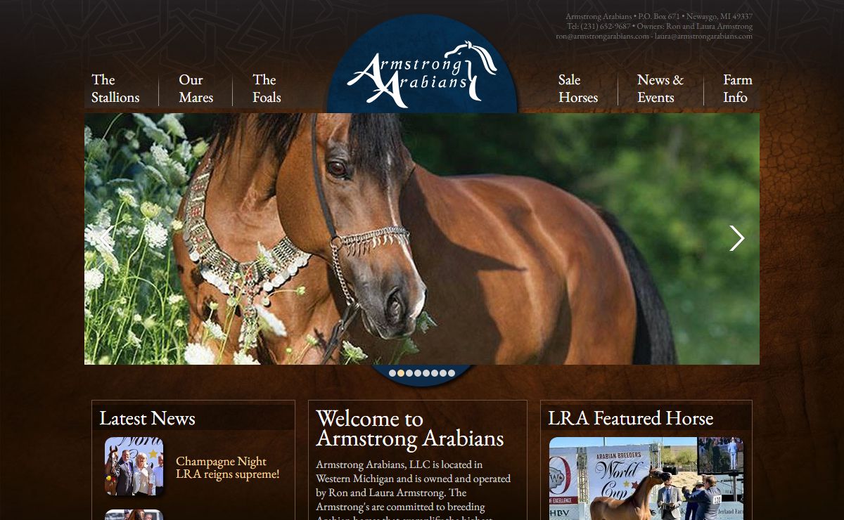 Armstrong Arabians