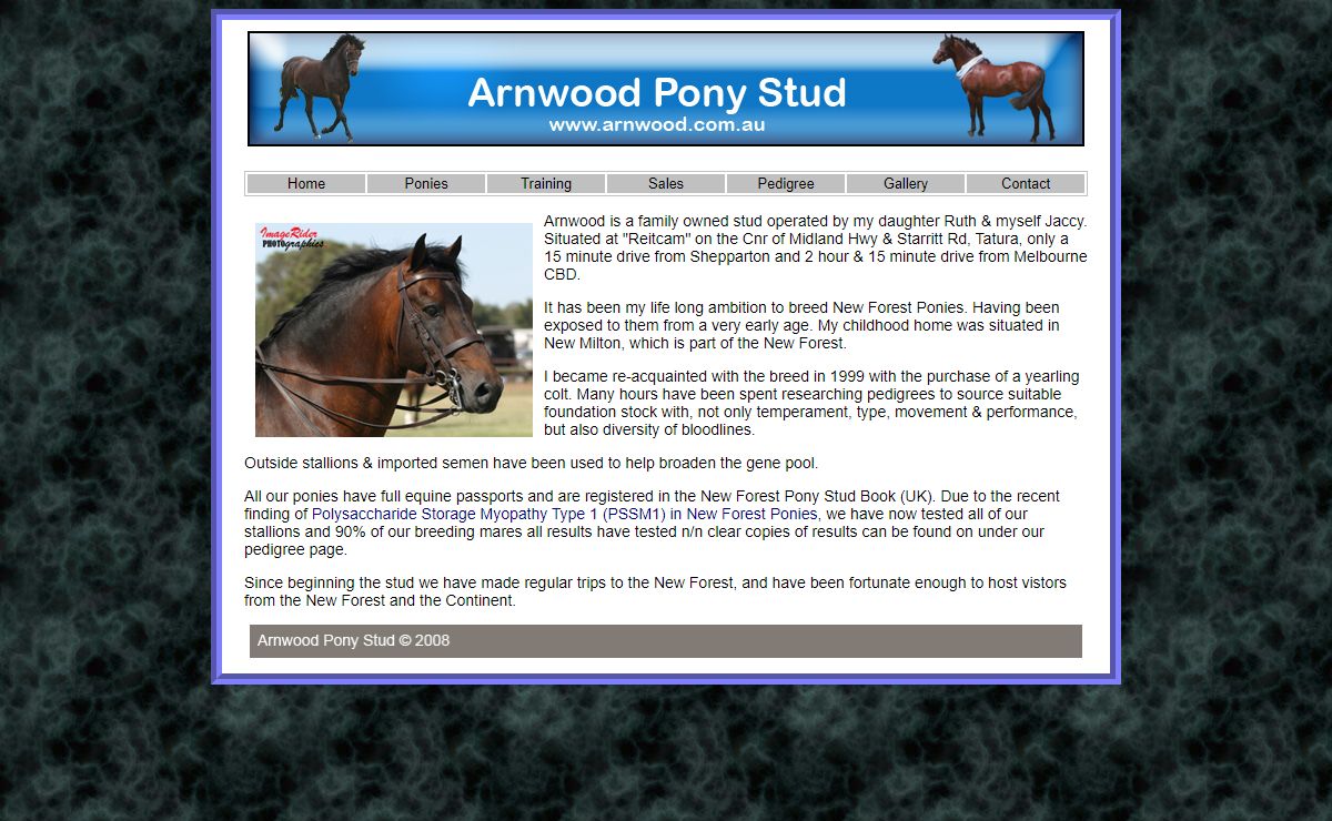 Arnwood Pony Stud - Breeding New Forest Ponies Pure & Part Bred