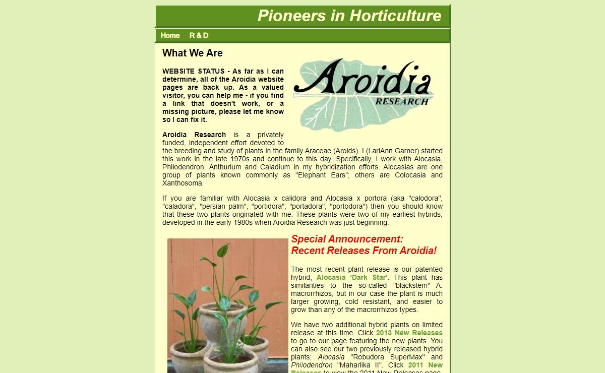 Aroidia Research - Alocasia, Philodendron, Anthurium, Caladium Hybridizers