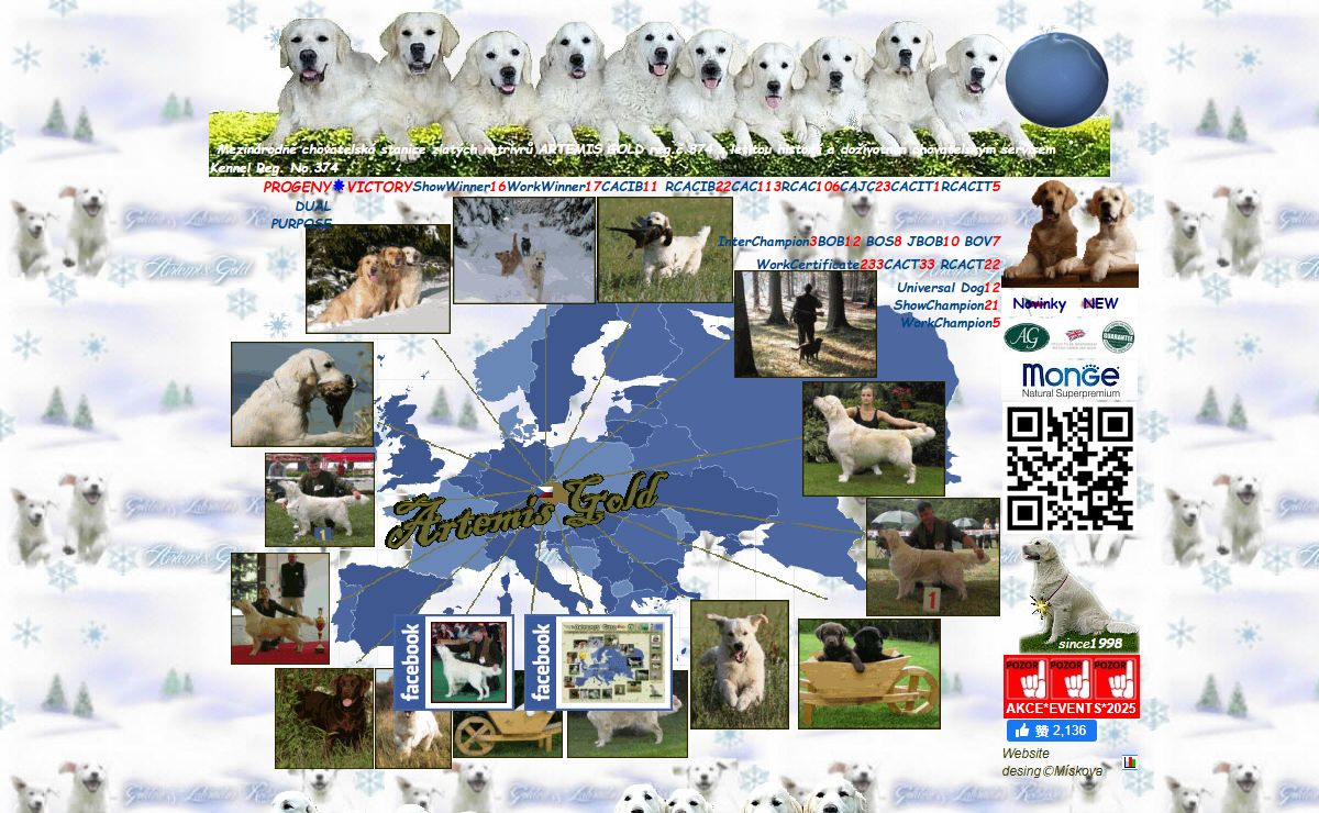 Golden Retriever * Zlatý retrívr * Artemis Gold Kennel * chovatelská stanice FCI