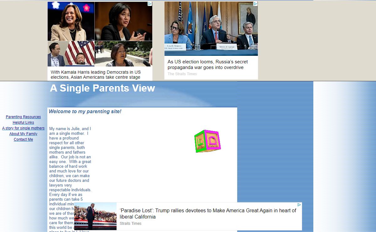 A Single Parents View