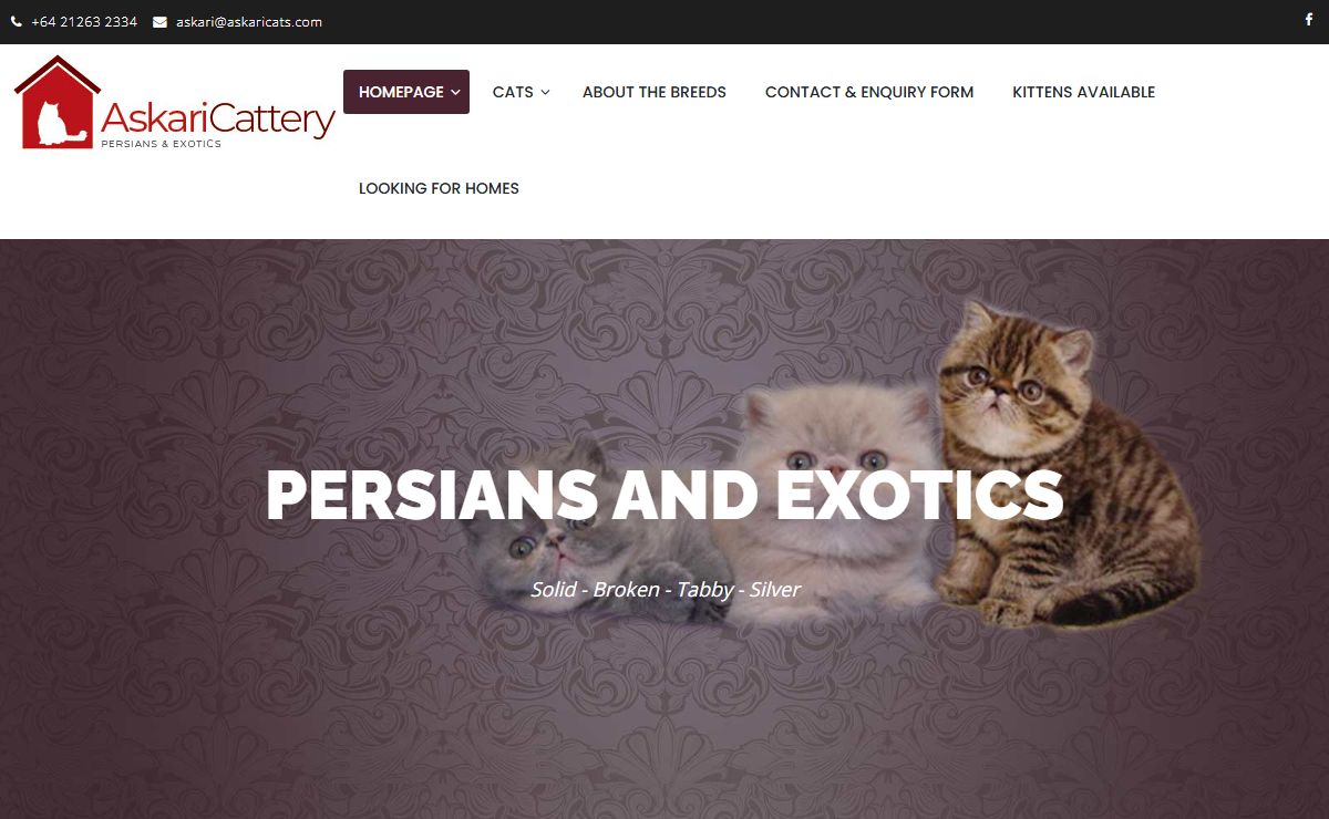 Askari Cats – Persians & Exotics