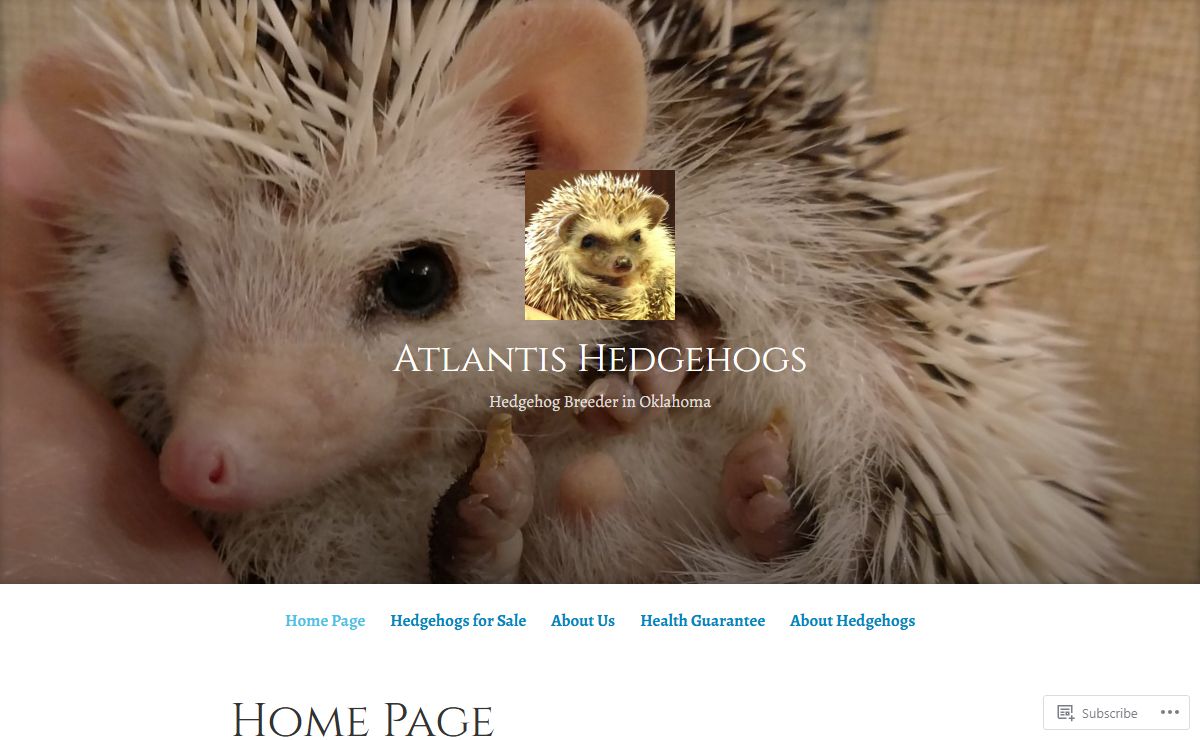 Atlantis Hedgehogs – Hedgehog Breeder in Oklahoma