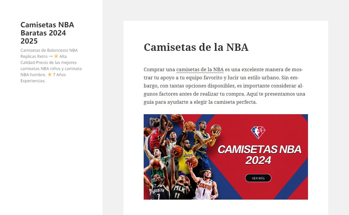 Camisetas NBA Baratas 2024 2025