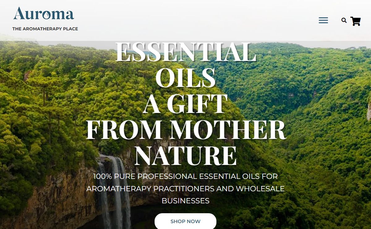 The Aromatherapy Place