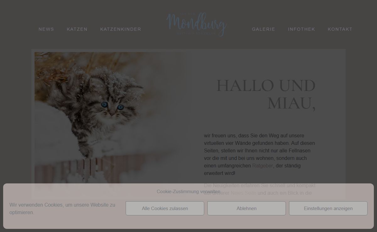 Home - aus der Mondburg | Britisch Kurzhaar und Britisch Langhaar Katzen Berlin