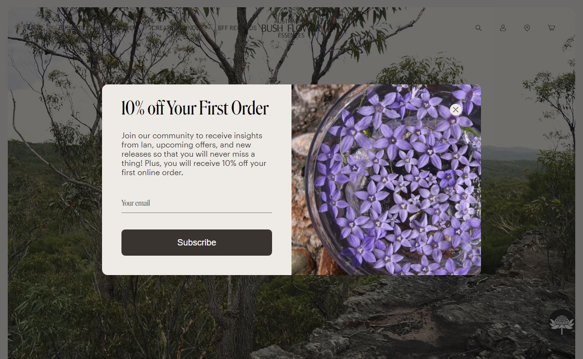 Australian Bush Flower Essences