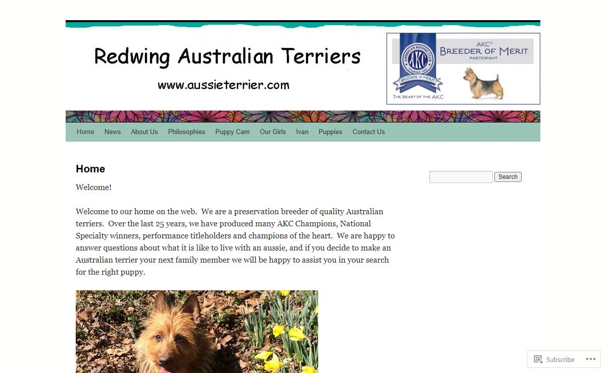 Redwing Australian Terriers | Home of top winning Australian terriers
