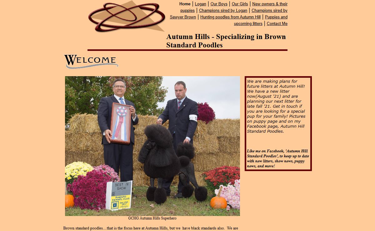 Autumn Hills - Specializing in Brown Standard Poodles