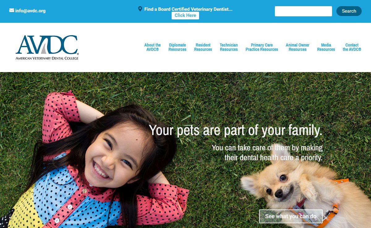 Home – Setting the standard for board-certified veterinary dentistry.