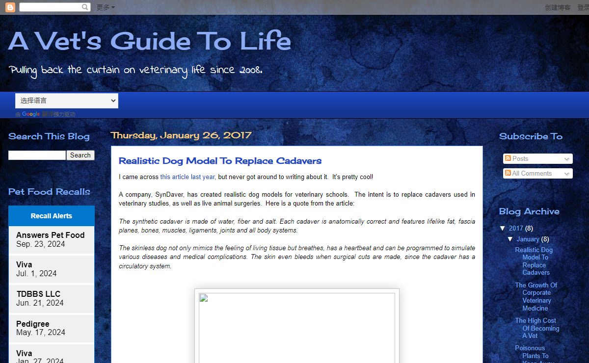 A Vet's Guide To Life