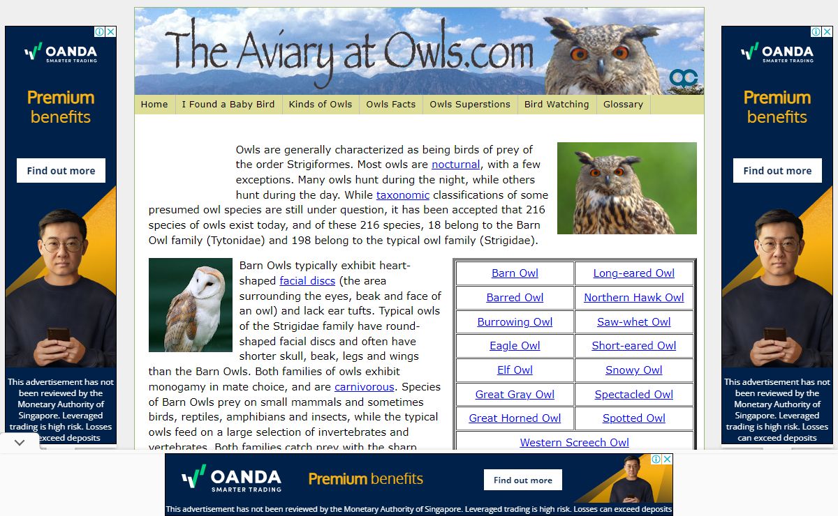 Owls - Pictures, Information, Sounds | The Aviary at Owls.com - species owls great horned barn