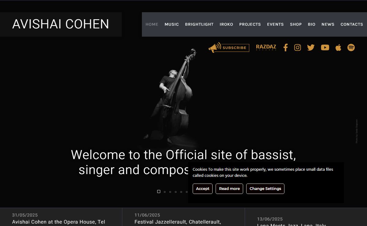 Avishai Cohen - Jazz bassist, singer & composer
