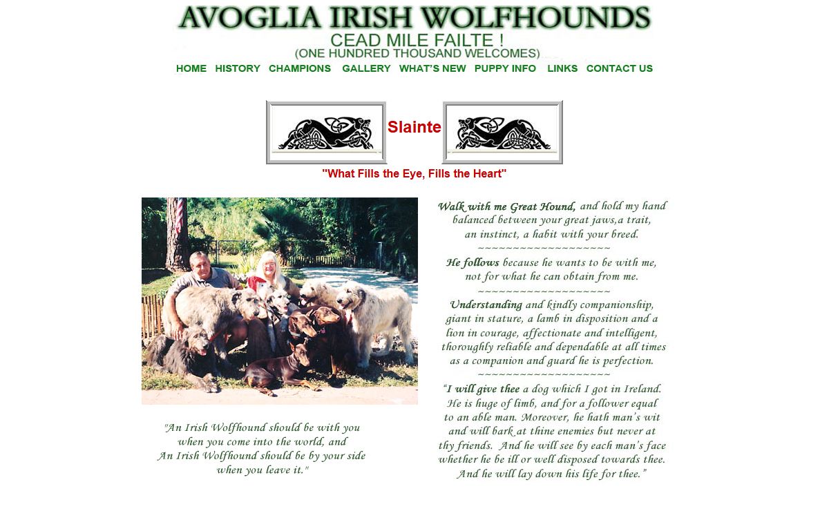 Avoglia