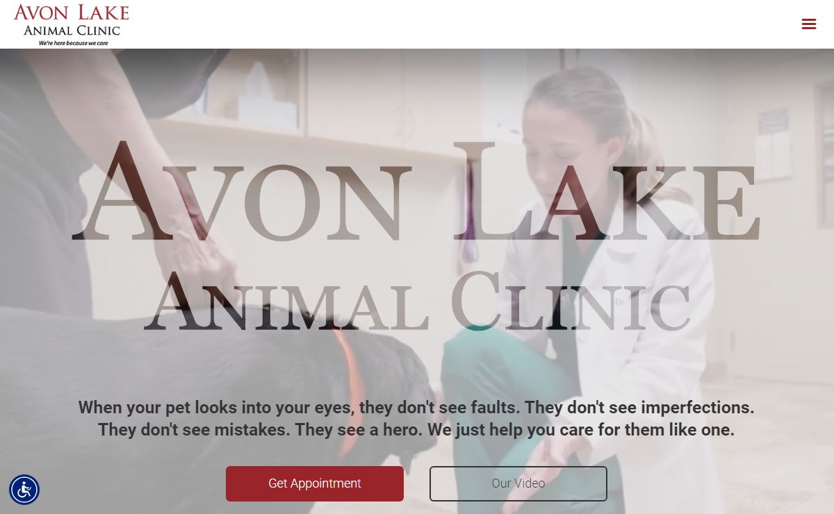 Veterinarian in Avon Lake | Vet Near You | Avon Lake Animal Clinic